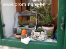 Holiday house Ela