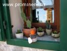 Holiday house Ela