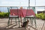 Holiday house Vicco